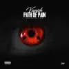 Vanish the Mc - Path of Pain (feat. Pain) - Single